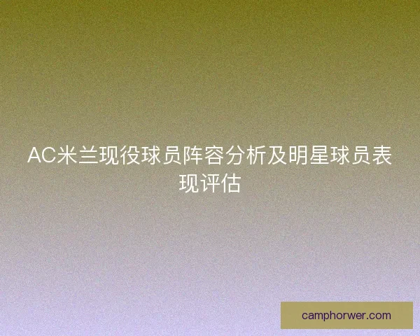 AC米兰现役球员阵容分析及明星球员表现评估